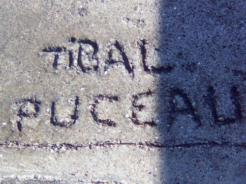 Art rupestre (contemporain) digue nord.jpg